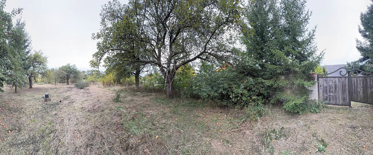 Fotka 19 z 19