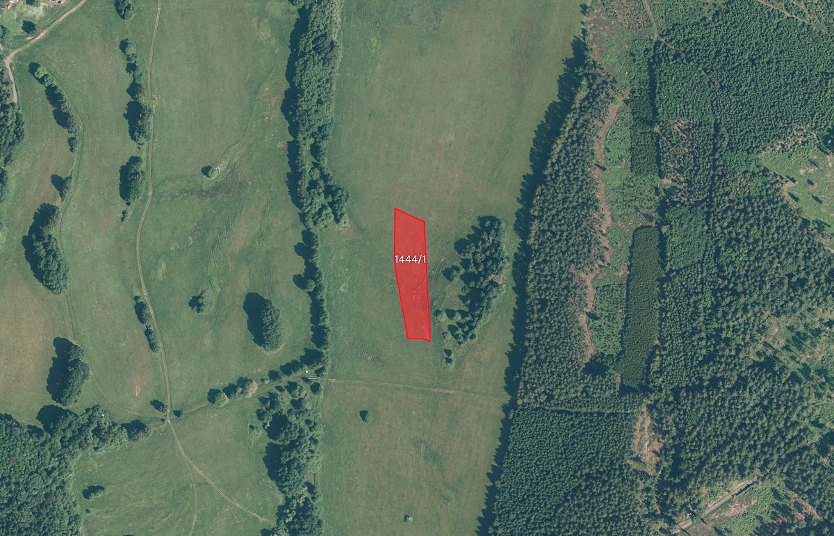 Prodej louky 4326 m², Pec – fotka 1 z 3