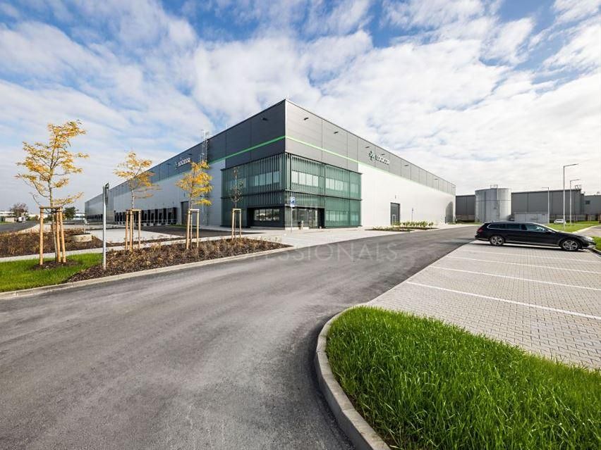 Pronájem skladového prostoru 4222 m²