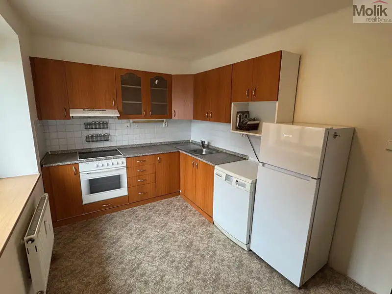 Pronájem bytu 2+kk 54 m², Most – náhled fotky 1