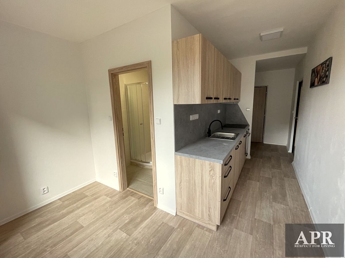Pronájem bytu 2+1 51 m² – fotografie 3
