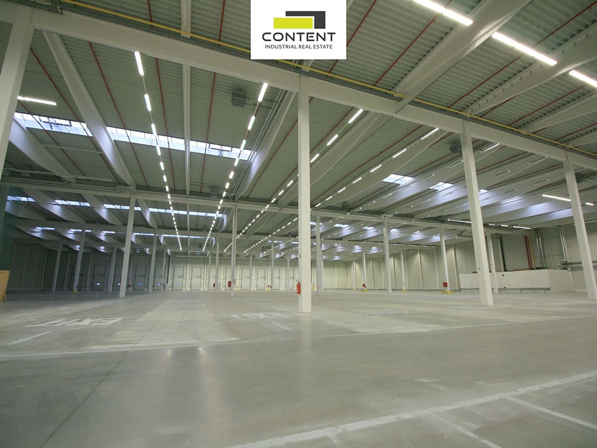 Pronájem výrobní haly, prostoru 14562 m² – fotografie 4