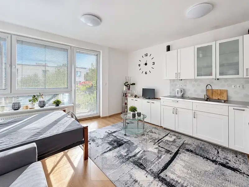 Pronájem bytu 1+kk 35 m², Praha – náhled fotky 2