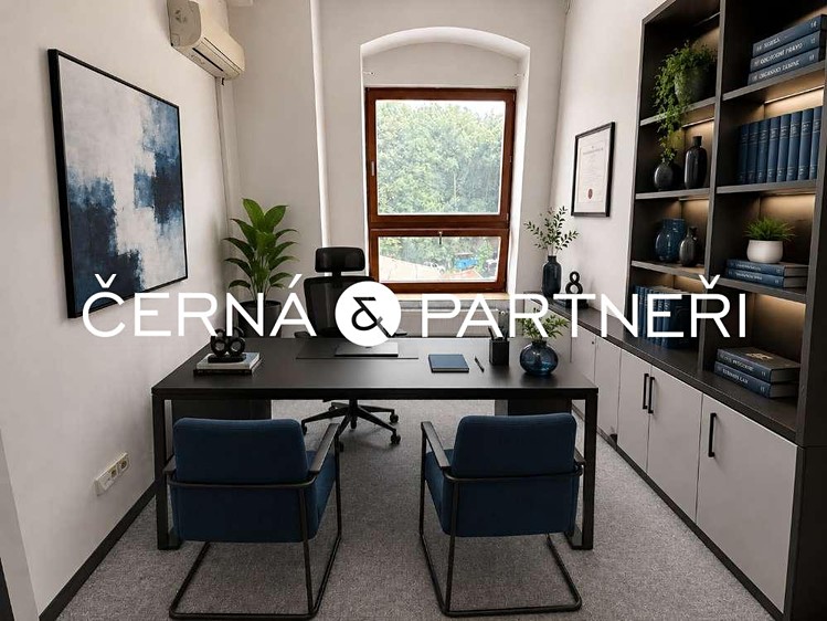 Комерційне приміщення в оренду, 264 м² (9 з 12)