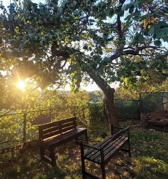 Pronájem rodinného domu 123 m², pozemek 190 m², Brno – náhled fotky 3
