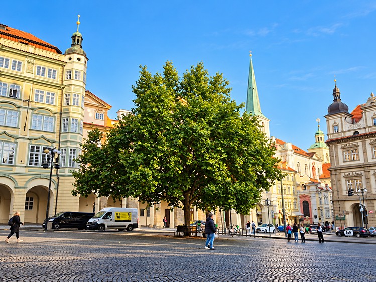 Gewerbefläche zum Kauf, 117 m² (19 von 19)