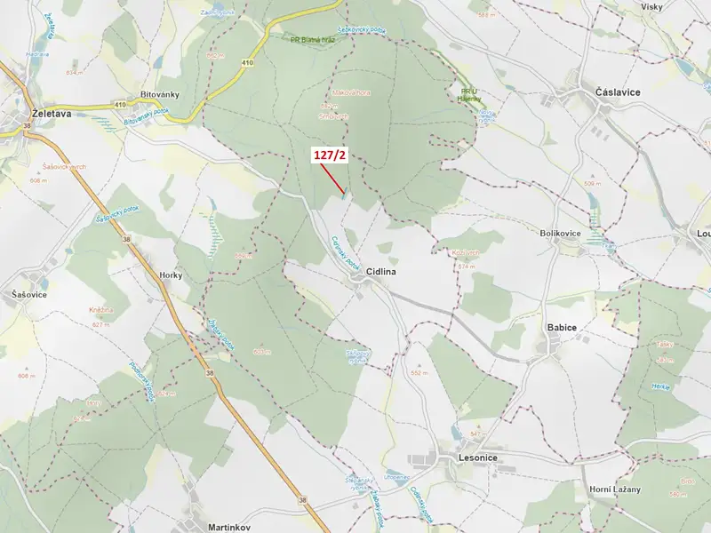 Dražba lesa 1615 m², Cidlina – náhled fotky 1