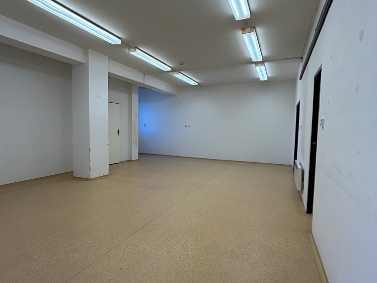 Prodej komerčního prostoru, 955 m² (26 z 43)