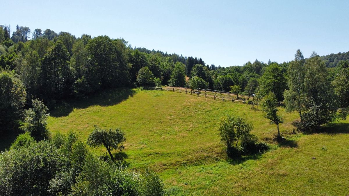 Prodej stavebního pozemku 4589 m² – fotografie 3