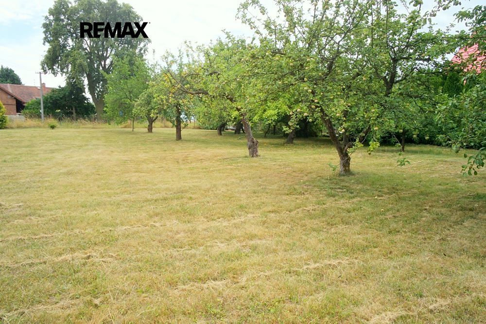Pronájem zahrady 1030 m² – fotografie 5