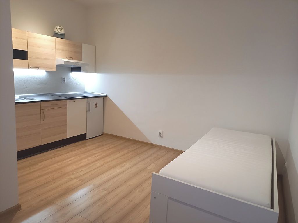 Pronájem bytu 1+kk 23 m² – fotografie 4