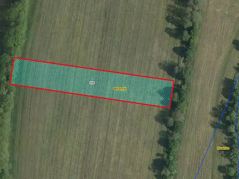 Prodej louky 4750 m², Boharyně – náhled fotky 1