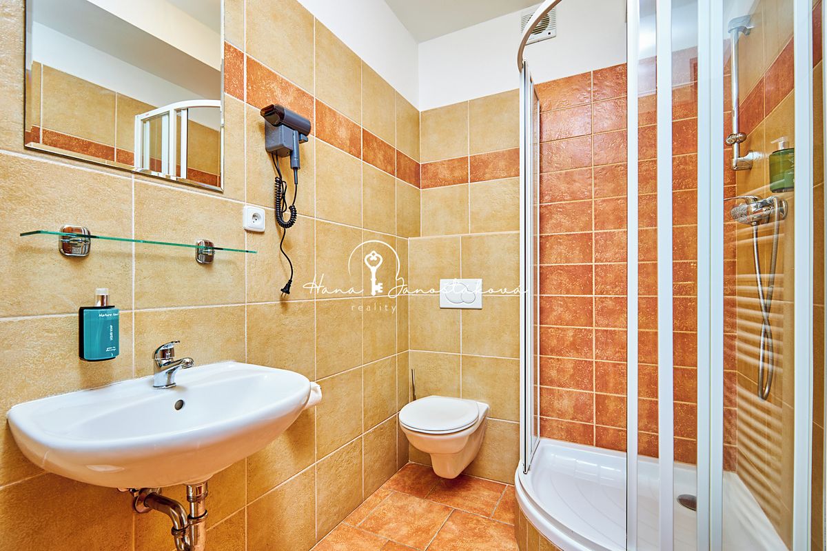 Prodej ubytovacího zařízení 270 m² – fotografie 4
