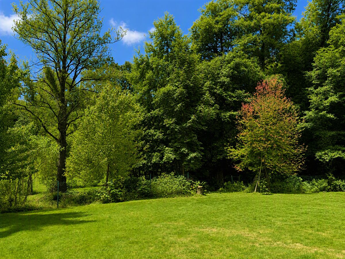 Prodej rodinného domu 60 m², pozemek 776 m² – fotografie 3