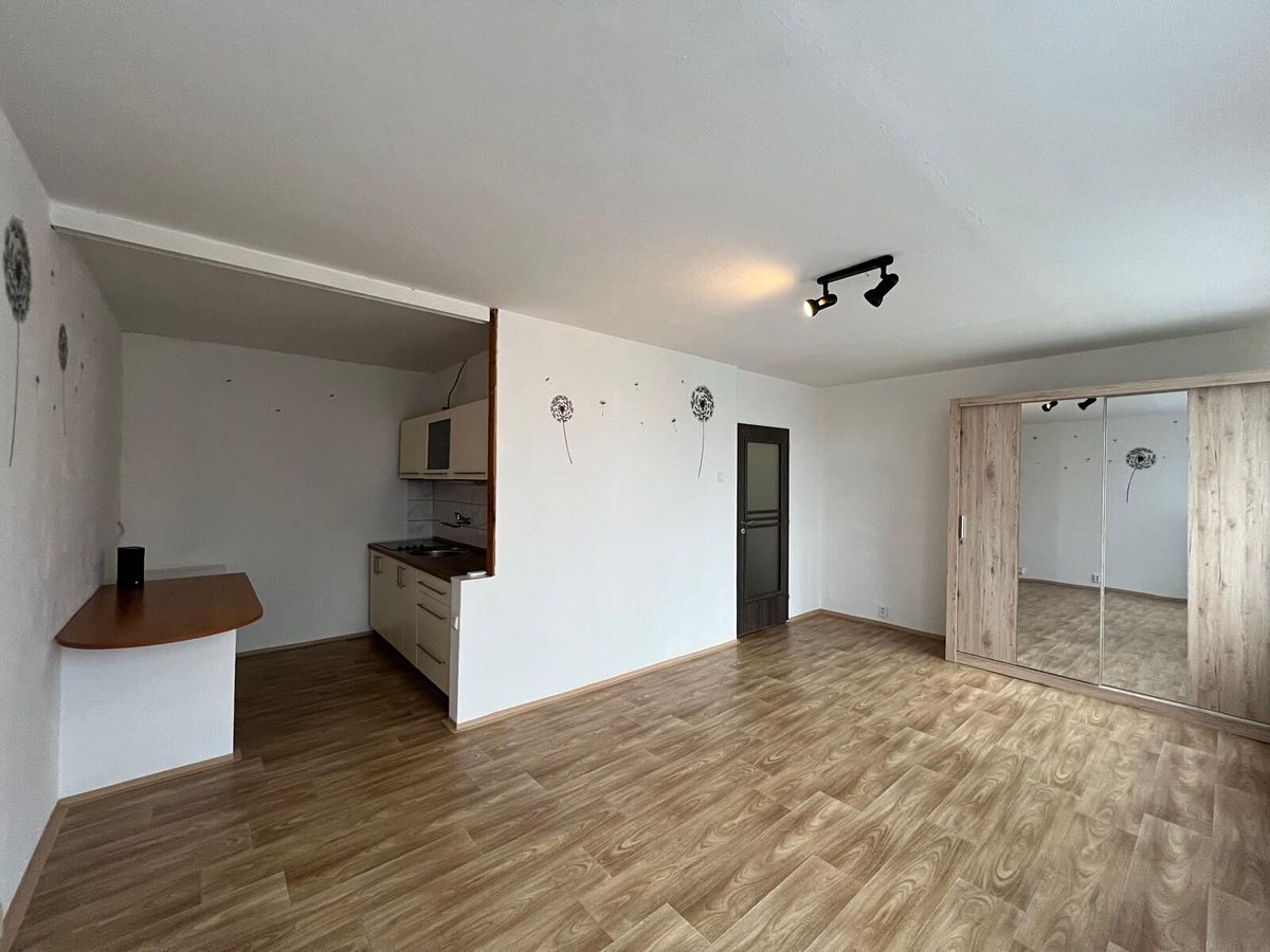 Pronájem bytu 1+kk 33 m²