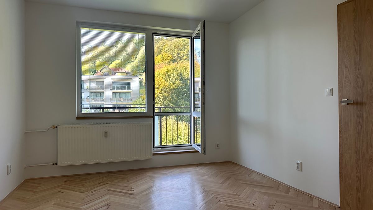 Pronájem bytu 1+1 35 m² – fotografie 5
