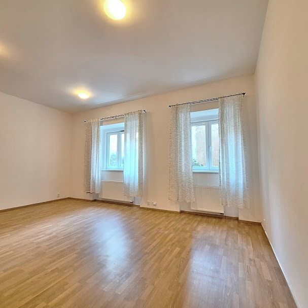 Pronájem bytu 1+kk 45 m² – fotografie 3