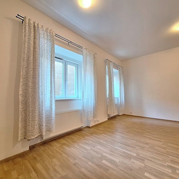 Pronájem bytu 1+kk 45 m² – fotografie 5