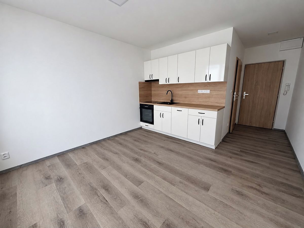 Pronájem bytu 1+1 38 m² – fotografie 2