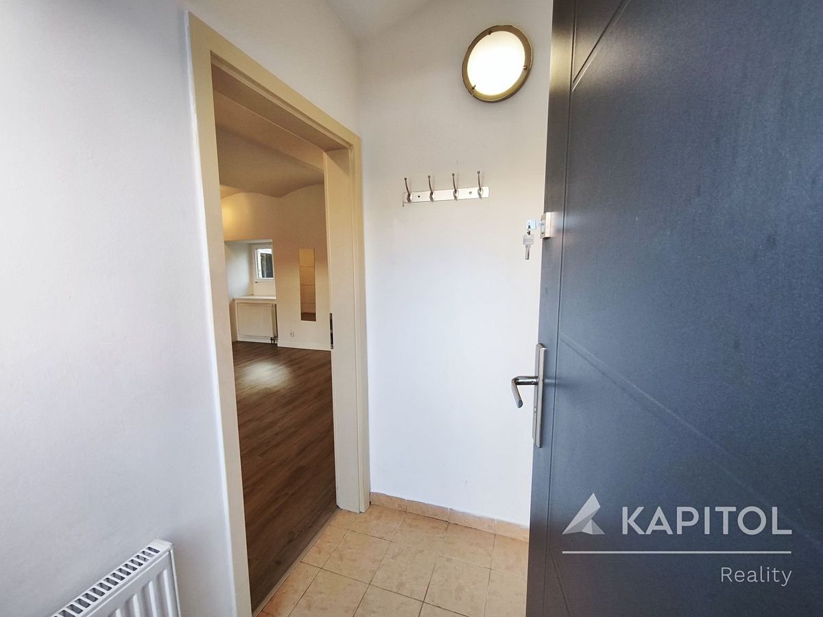 Pronájem bytu 1+kk 31 m² – fotografie 5