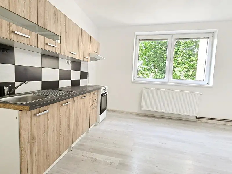 Pronájem bytu 1+1 50 m², Hostomice – náhled fotky 1