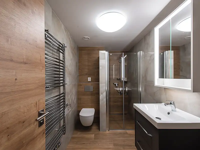 Pronájem bytu 1+kk 55 m², Plzeň – náhled fotky 2