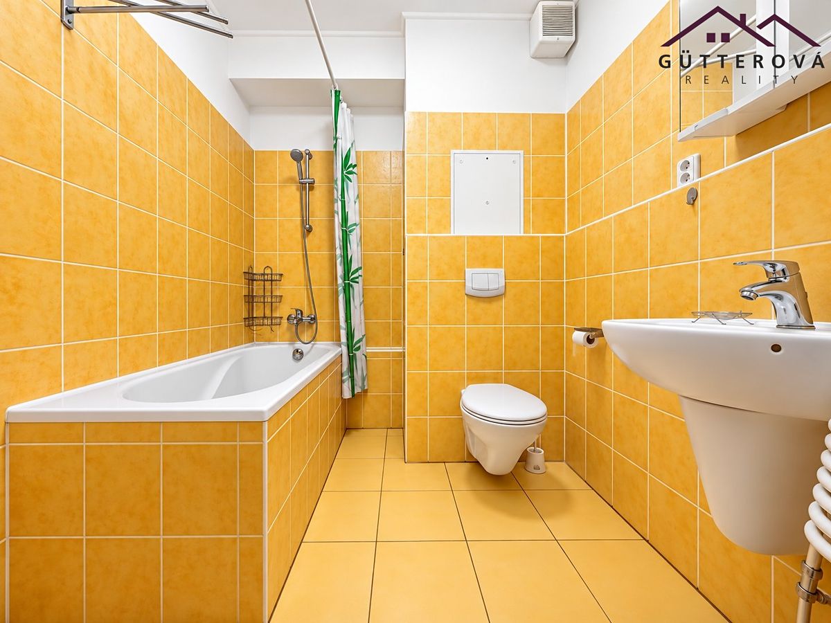 Pronájem bytu 1+kk 32 m² – fotografie 4