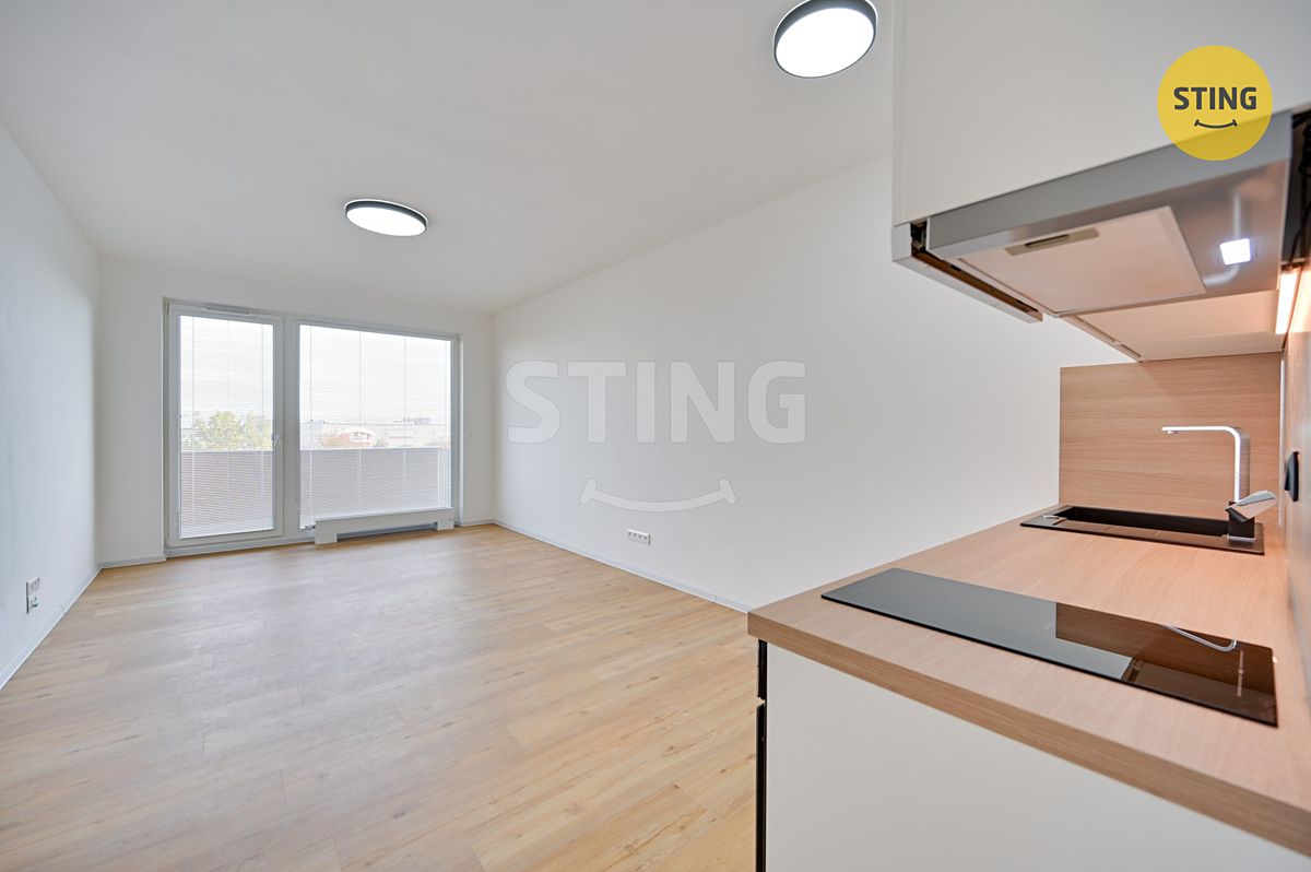 Pronájem bytu 1+kk 30 m² – fotografie 4
