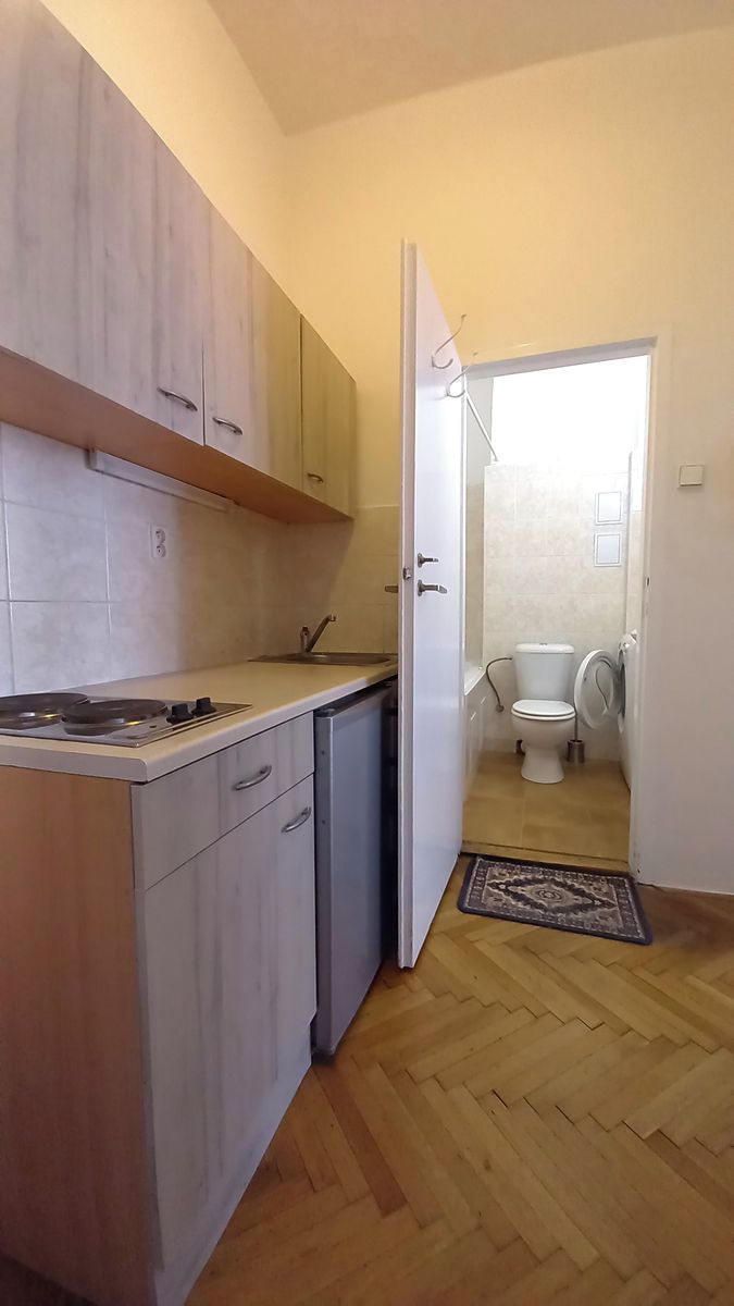 Pronájem bytu 1+kk 31 m² – fotografie 4