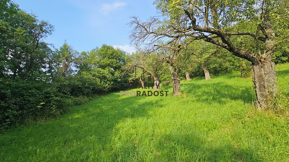 Prodej sadu, vinice 4253 m²