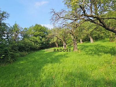 Prodej sadu, vinice 4253 m²