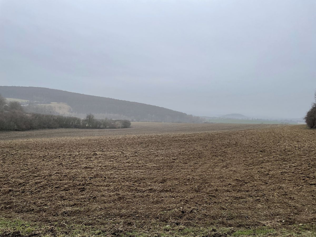 Prodej pole 98148 m² – fotografie 3