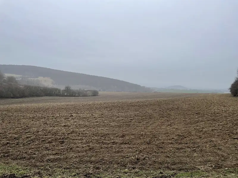 Prodej pole 98148 m², Polepy – náhled fotky 3
