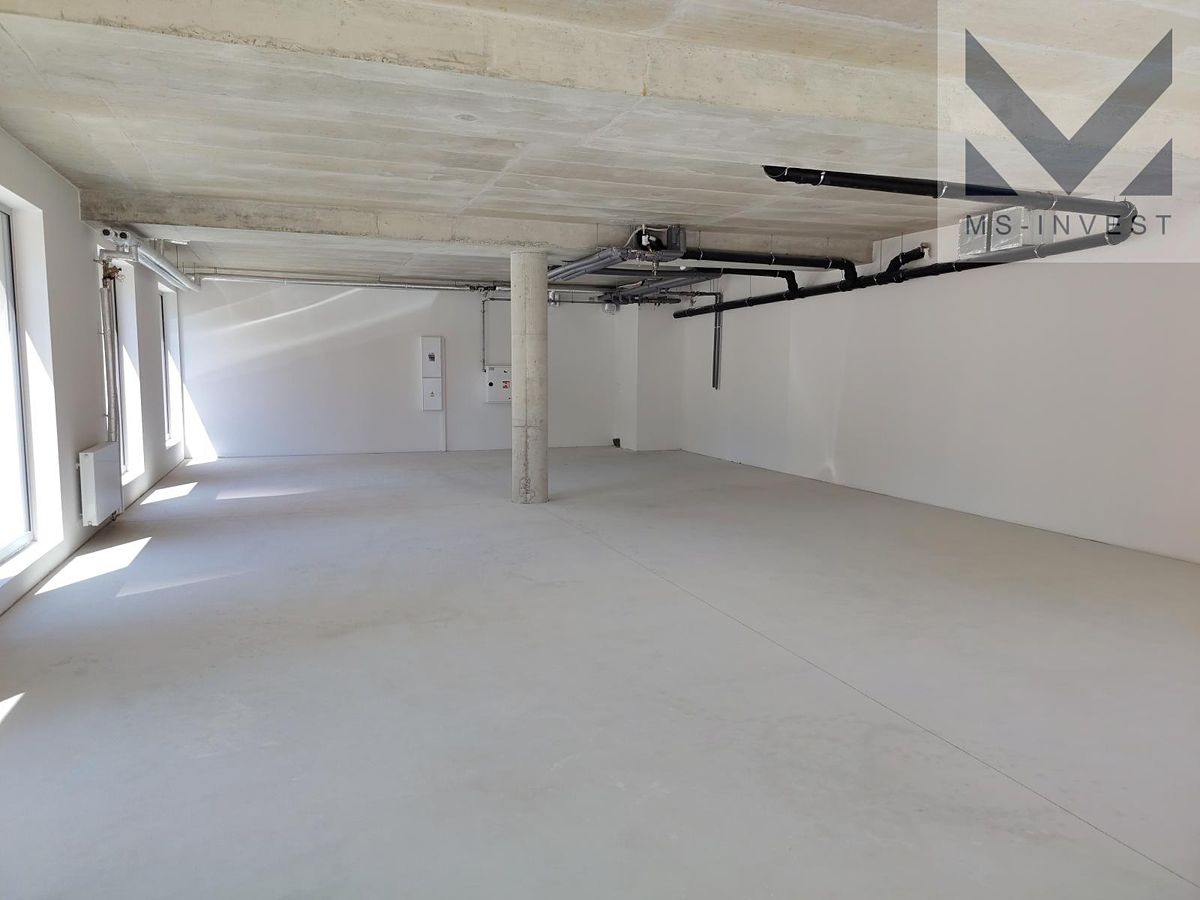 Prodej obchodního prostoru 119 m² – fotografie 5