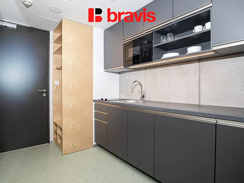 Pronájem bytu 1+kk 24 m², Brno – náhled fotky 3