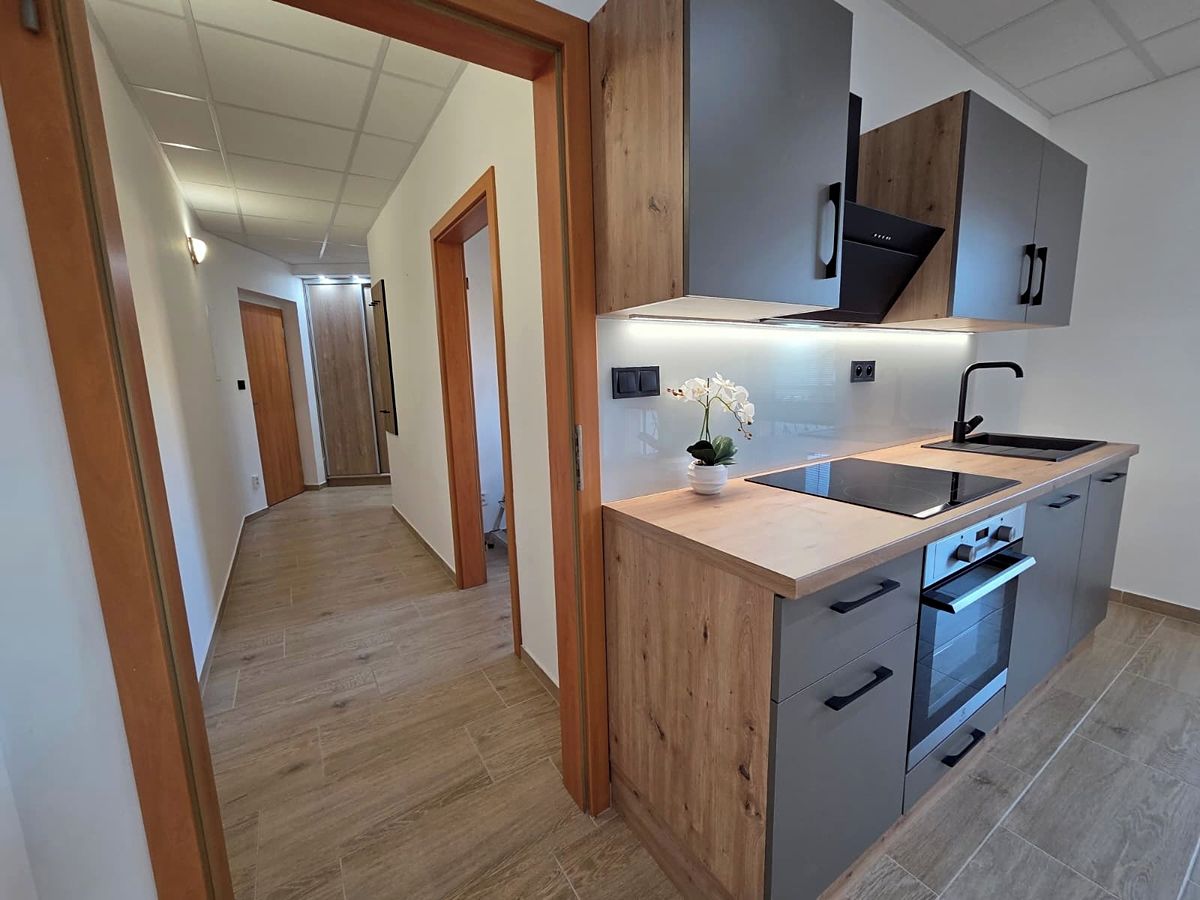 Pronájem bytu 2+kk 45 m²