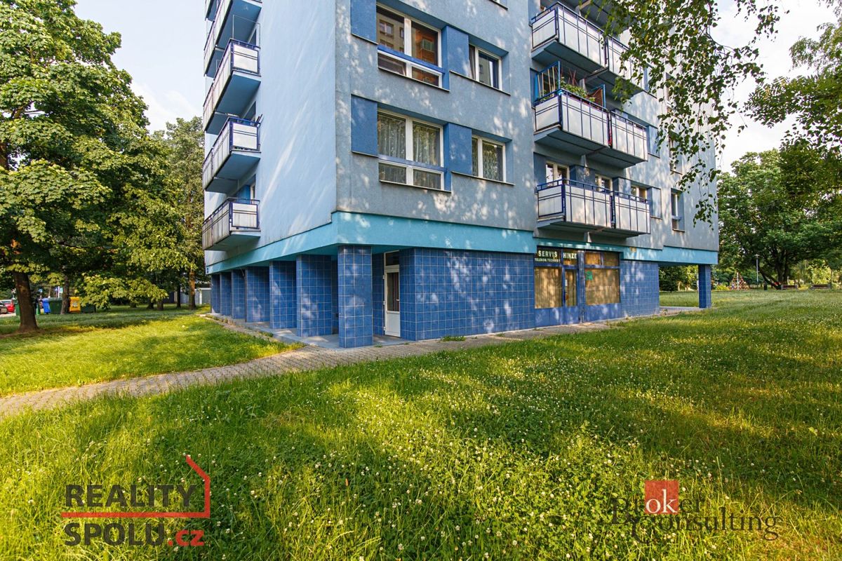 Pronájem bytu 1+1 39 m² – fotografie 3