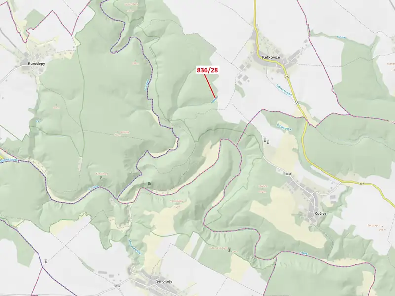 Dražba lesa 1686 m², Ketkovice – náhled fotky 1