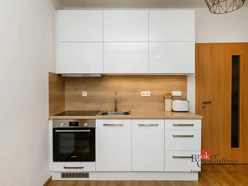 Pronájem bytu 1+1 36 m², Plzeň – náhled fotky 2