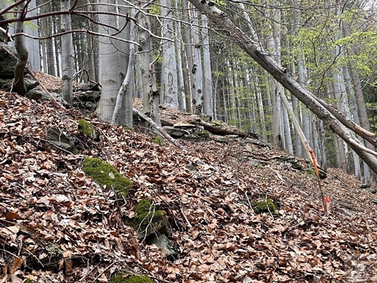 Grundstück zum Kauf, 3.303 m² (5 von 17)