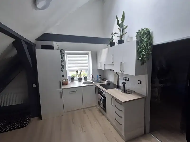 Prodej bytu 2+1 55 m², Cheb – náhled fotky 3
