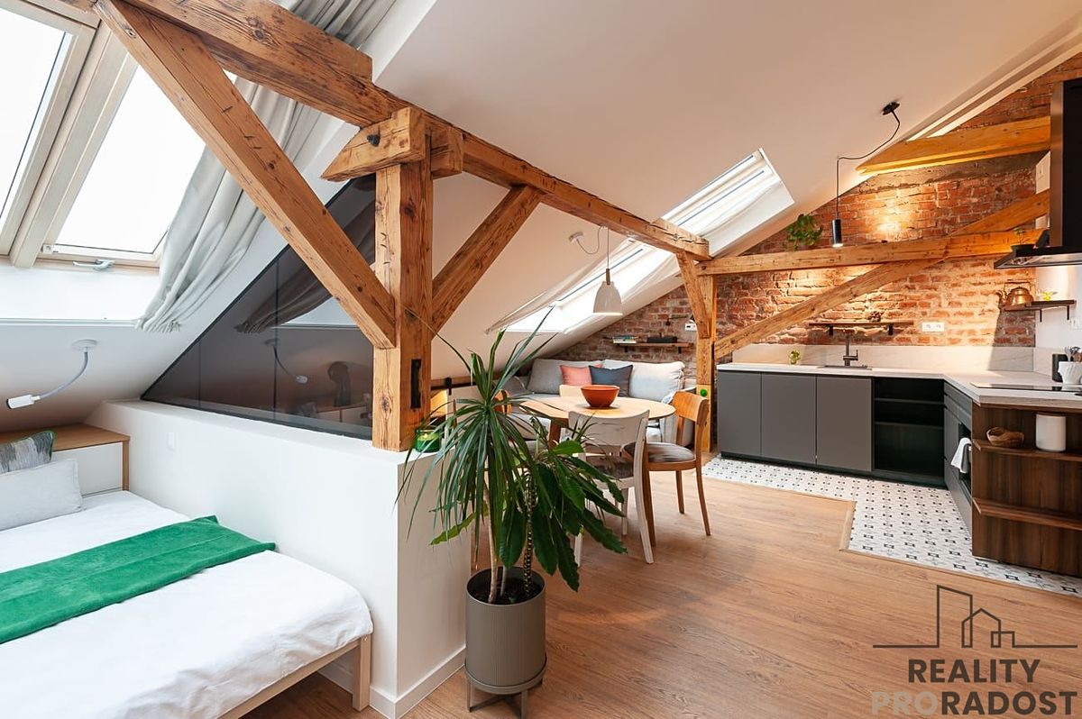 Pronájem bytu 1+kk 52 m²