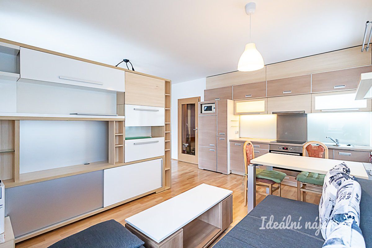 Pronájem bytu 1+kk 40 m² – fotografie 4