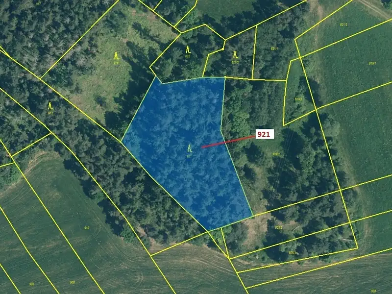 Dražba lesa 4401 m², Kovčín – náhled fotky 2