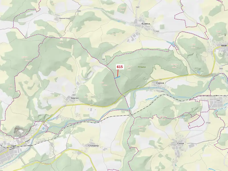 Dražba lesa 4478 m², Rabí – náhled fotky 1