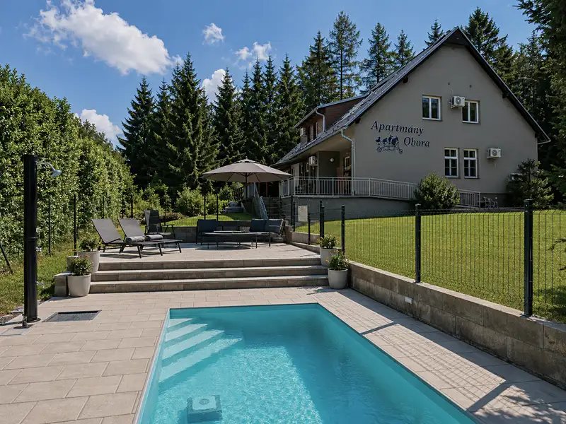Prodej ubytovacího zařízení 652 m², Nová Bystřice – náhled fotky 1