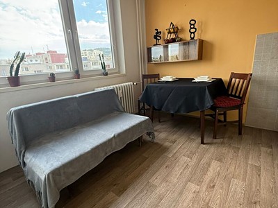 Pronájem bytu 1+1, 32 m² (3 z 11)