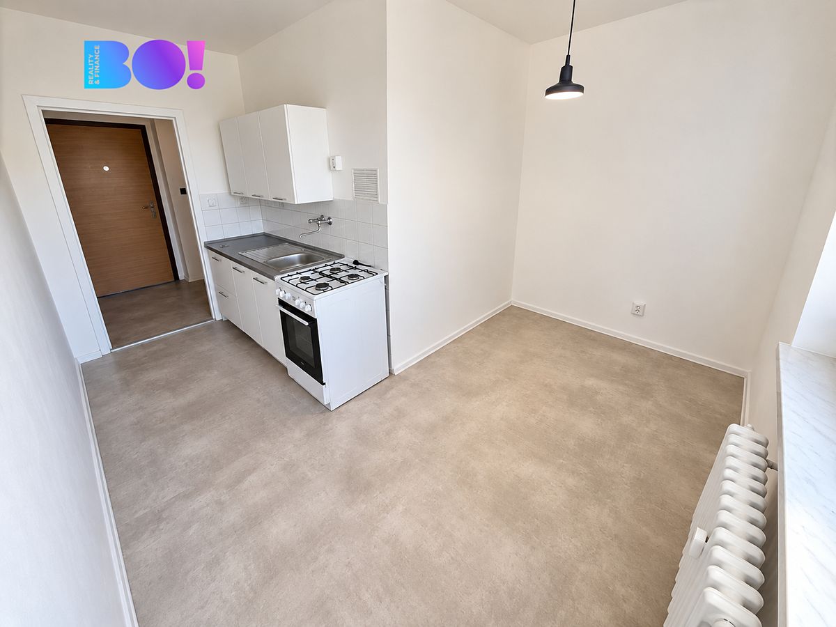 Pronájem bytu 1+1 40 m² – fotografie 4