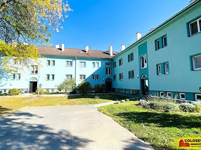 Pronájem bytu 3+1 59 m²