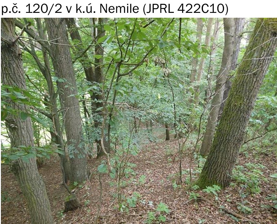 Prodej lesa 323 m² – fotografie 3